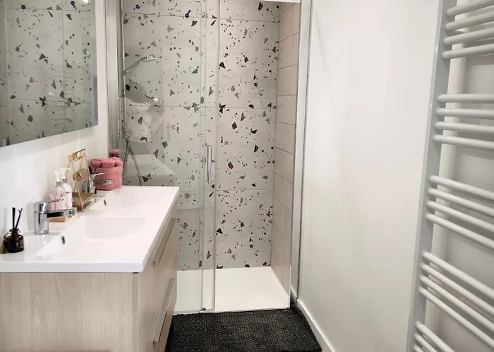 Appartement Prestige Cœur de Reims Apartment