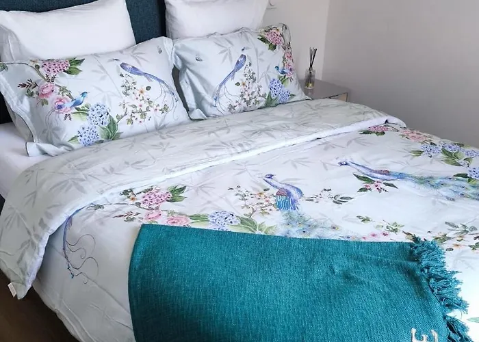 Appartement Prestige Cœur de Reims Reims