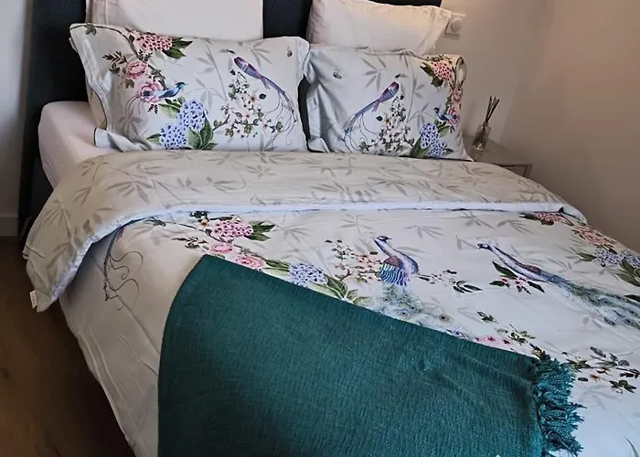 Appartement Prestige Cœur de Reims * Reims